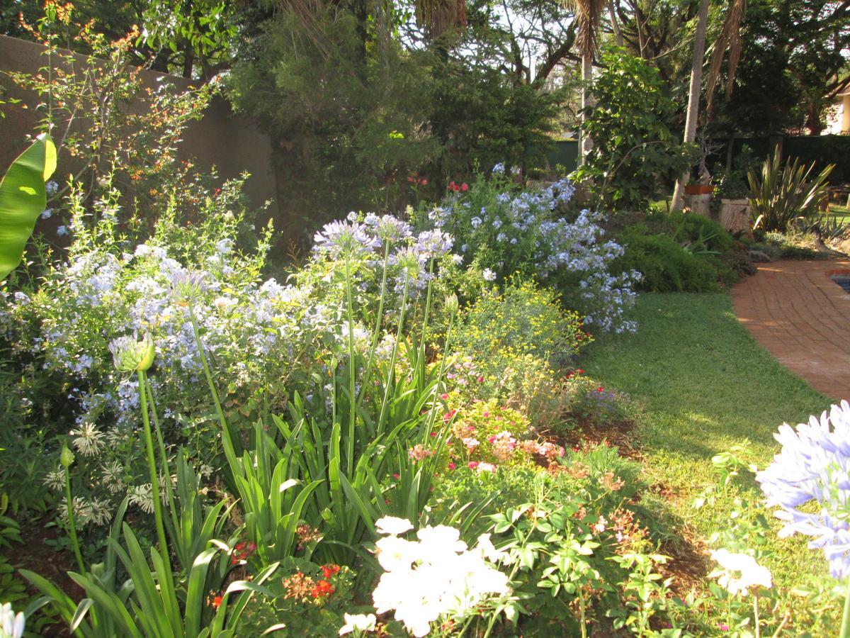 12 Fleetwood Bed & Breakfast Harare Dış mekan fotoğraf